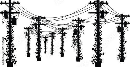 Utility poles with climbing vines, vector illustration of eco infrastructure, power lines growing from pots, sustainable energy concept, nature and technology integration design