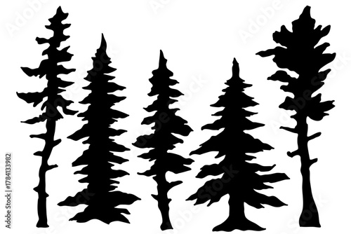針葉樹の線画とシルエットセット ステンドグラス風クリスマスデコレーション ベクターイラスト