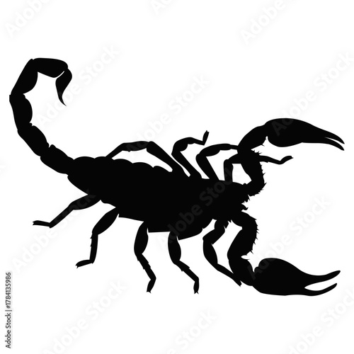 Black Scorpion Silhouette Illustration. Dangerous Insect Design