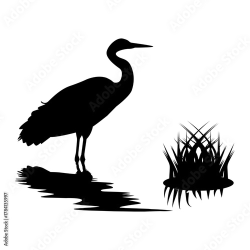 Silhouette of Heron Standing by Water with Grass. Wildlife Bird Illustration