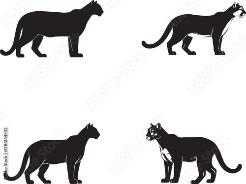 Big Cat Silhouettes – Panther, Leopard, Cougar Vector Set on White Background