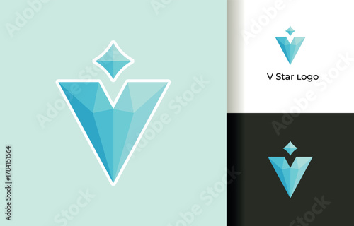 Geometric V Letter and Star Premium Logo Design
