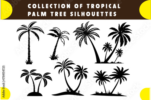 Tropical Palm Tree Silhouette Collection: A compilation of elegant black palm tree silhouettes, perfectly illustrating the essence of tropical landscapes, ideal for design inspiration. 