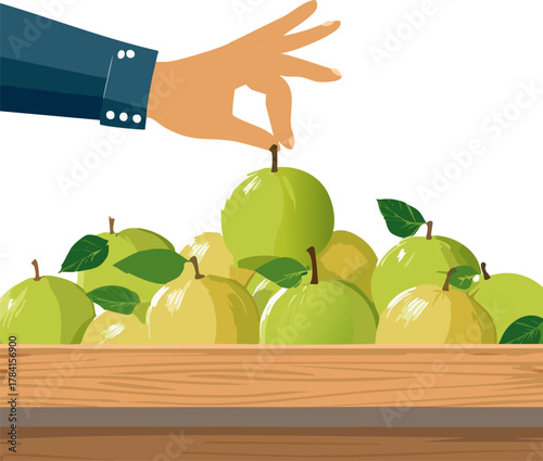 An Engaging Visual for Dietary Education: Using the Syzygium Samarangense Illustration to Discuss Food Groups and the Essential Role of Fruits in Human Metabolism.