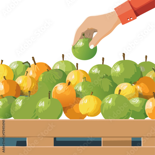 The Journey of Syzygium Samarangense: From Farm to Hand, Emphasizing the Supply Chain Transparency and the Importance of Freshness for Maximum Nutritional Value.