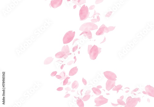 Soft Watercolor Cherry Blossom Petals Flowing Diagonally on White Background | Gentle Spring Sakura Design, Pink Floral Background