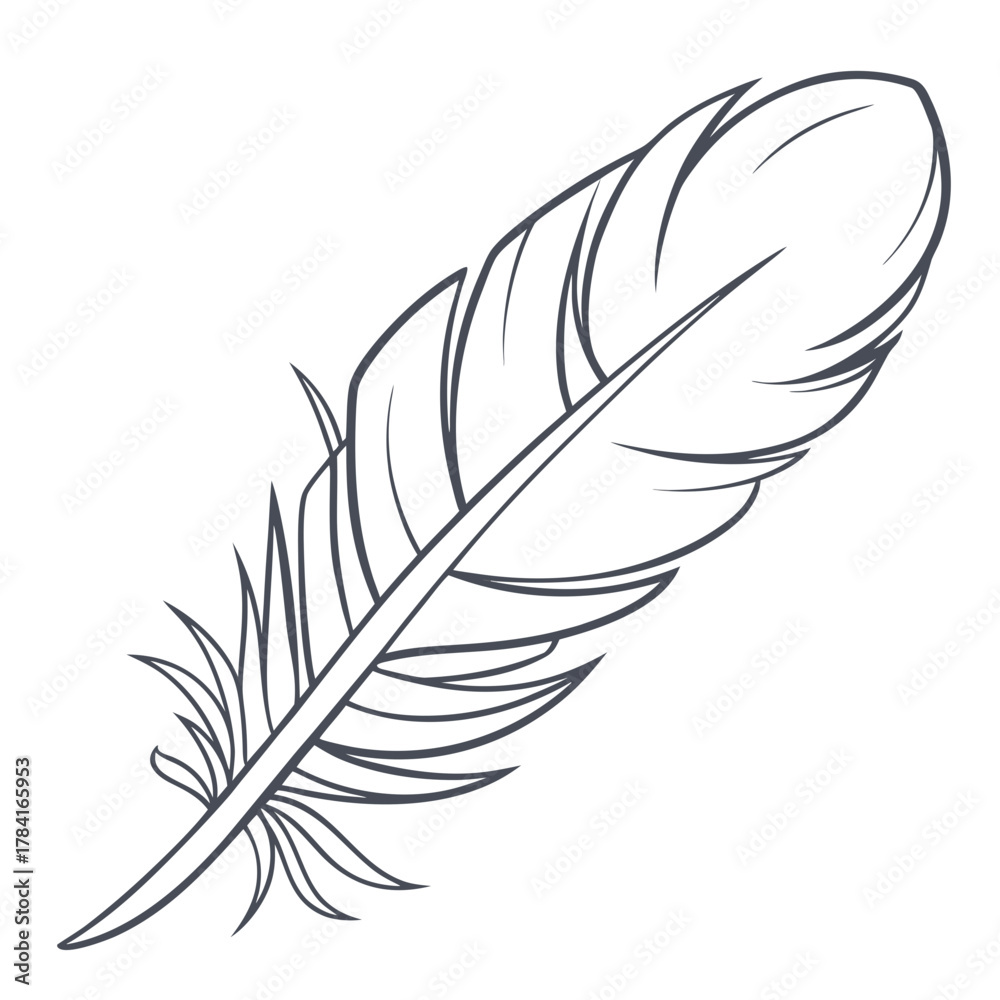 Obraz premium Detailed feather with intricate barbs and rachis