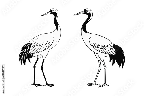 Two elegant cranes in profile, one slightly smaller, showcased against a plain background in a refined monochrome illustration, highlighting graceful avian forms and traditional artistic style