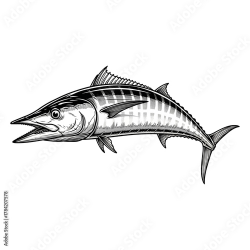 wahoo fishing illustration logo vector image t shirt