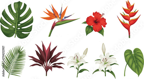 Tropical Bloom Symphony: A vibrant ensemble of exotic tropical flora, each blossom and leaf meticulously displayed, showcasing nature's artistry in a colorful tapestry.