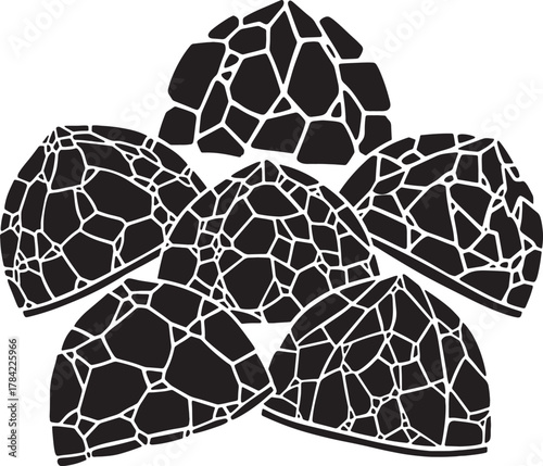 Geometrical Gemstone Arrangement: A striking monochromatic depiction of meticulously crafted gemstones, each exhibiting a unique geometric pattern.