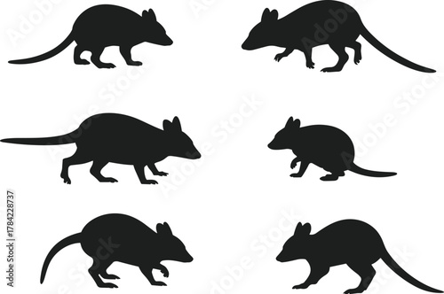 Rodent silhouette vector set, small mammals in varied poses and stances, animal behavior illustration for stock content, nature, biology, and identification themes