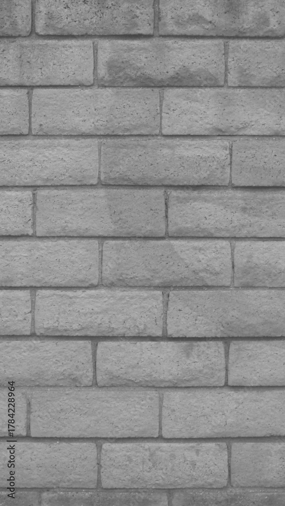 Fototapeta premium CA Camarillo Cinder Block Color Wall V B&W 2025