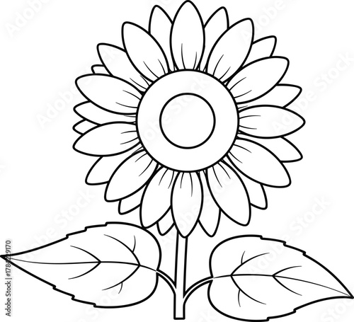 Sunflower drawing, black and white sketch, botanical illustration, floral outline, nature clipart, plant anatomy, coloring page, vector flower, leaf detail, stem structure, concentric circles, , 