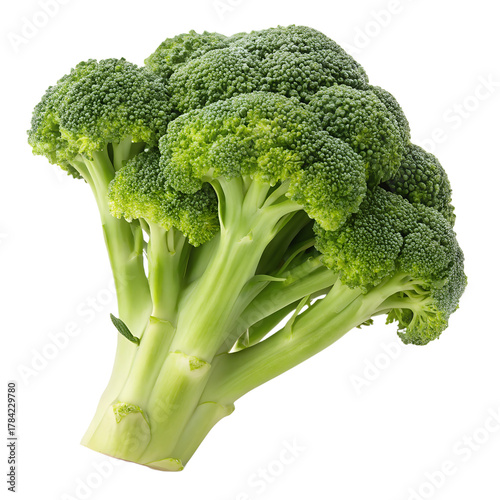 Broccoli isolated on white background