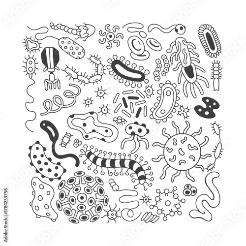 Diverse Microorganisms Doodle Set