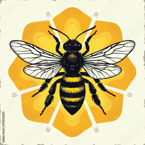 [Artistly Design] 019a005f-6012-7370-82d0-89bc90e029a1_traced