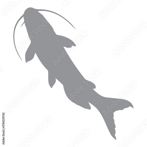 Top View Catfish Silhouette
