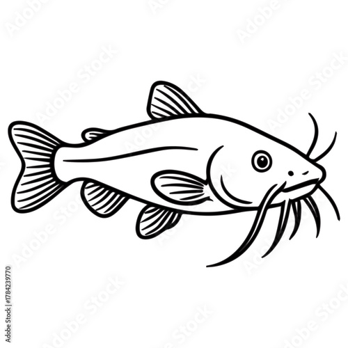 Fish Illustration