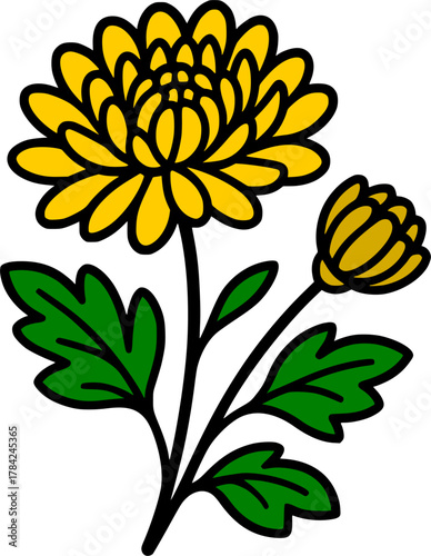 Imperial Chrysanthemum Flower Vector, Asian Floral Emblem, Royalty, Fall Decor.