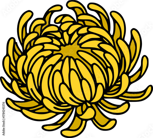 Imperial Chrysanthemum Flower Vector, Asian Floral Emblem, Royalty, Fall Decor.
