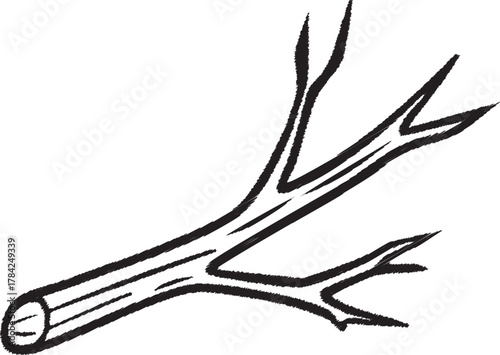 Fallen tree branch with small twigs