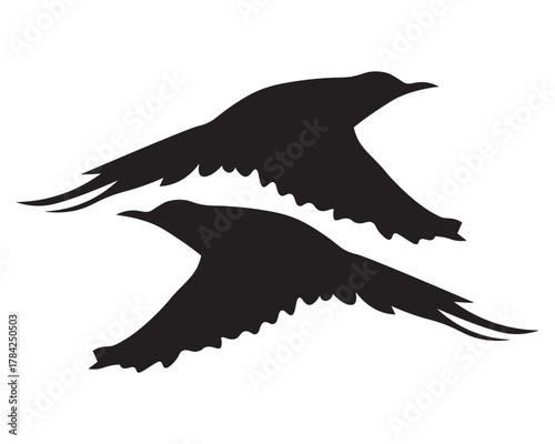 Flying Duck Silhouette Vector - Waterfowl Birds in Flight Black Shape Illustration