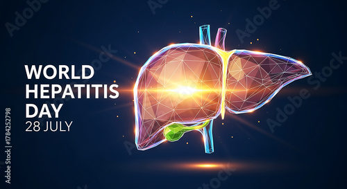 Polygonal human liver with text World Hepatitis Day 28 July organ medical
