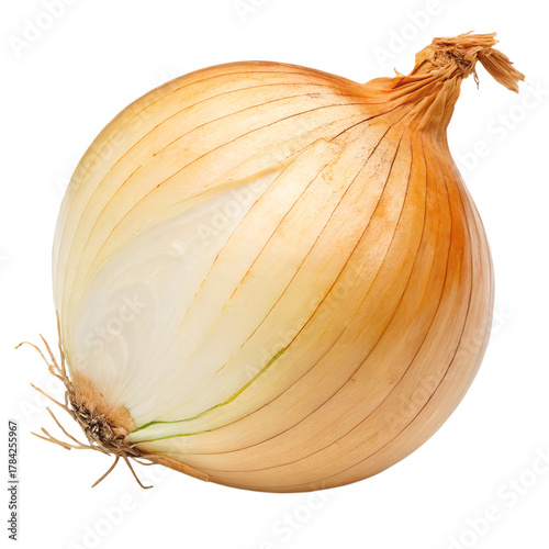 Onion isolated on white background
