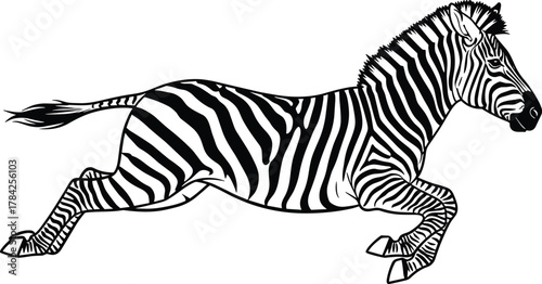 Dynamic line art vector illustration of a running zebra in full stride, showcasing bold stripes and motion, ideal for wildlife, safari, or African-themed graphic design projects.