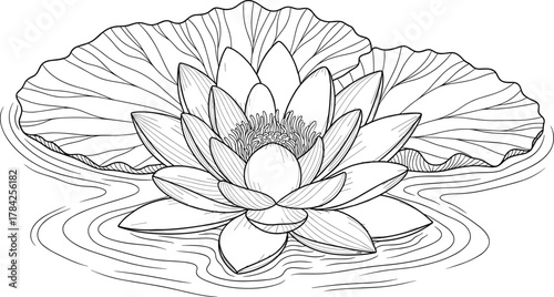 Elegant line art vector illustration of a blooming water lily with large leaf and rippling pond surface, perfect for spa, wellness, nature, or botanical design themes.