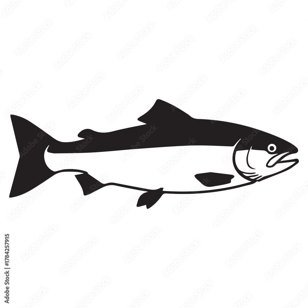 Fototapeta premium Salmon Fish Silhouette with White Midsection animal