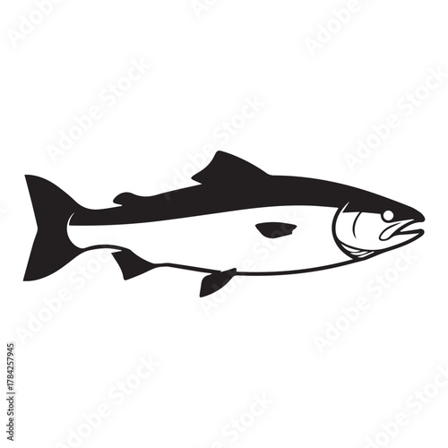 Salmon Fish Silhouette with White Lower Body animal