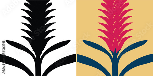 Stunning bromeliad flower half in monochrome and half in color for vibrant botanical designs or nature inspired art projects, creative floral elements