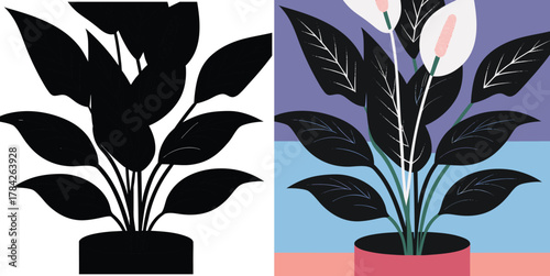 Stylish peace lily plant in a pot for fresh modern interior design projects and botanical illustrations, perfect for lifestyle and home decor moodboards