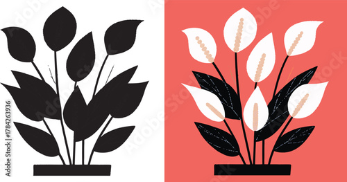 Peace lily elegance for modern interiors, botanical freshness meets minimalist art and trending coral hues, a symbol of tranquility and design