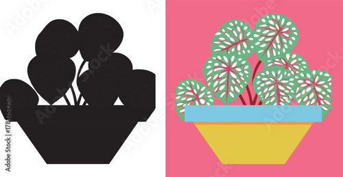 Bold statement piece: A trendy potted plant with a graphic art vibe that will brighten any room with a modern, artistic and fresh appeal