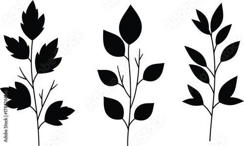 Leafy Plant Stem Silhouettes – Trio of Black Botanical Variants with Unique Leaf Shapes