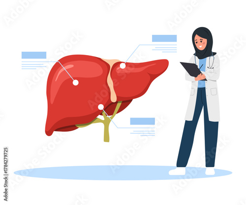 Liver health consultation. Arab female Hepatologist advising on hepatitis, cirrhosis prevention or cancer diagnosis in clinic. Cartoon vector illustration.