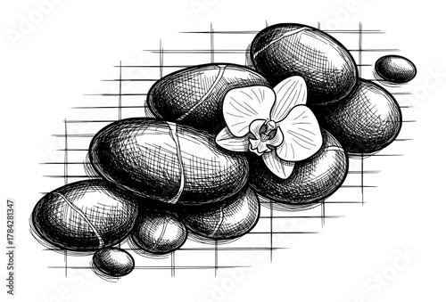 Orchid Flower and Spa Stones in Hand-Drawn Sketch. Vector Illustration for Relaxation and Wellness.