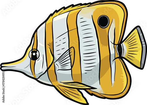 Copperband butterflyfish vector cartoon illustration