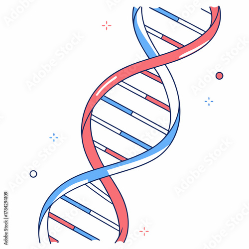Illustration of a dna double helix with red and blue strands