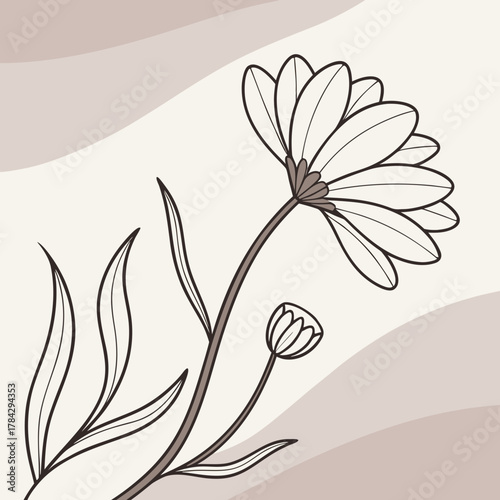 Illustration of a daisy with leaves and a bud on a stem