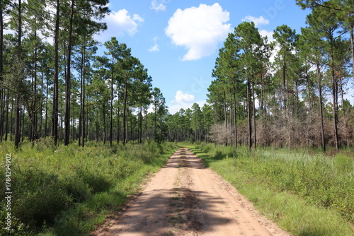 Southern Conservation