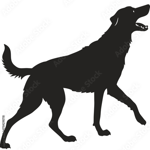 black dog silhouette
