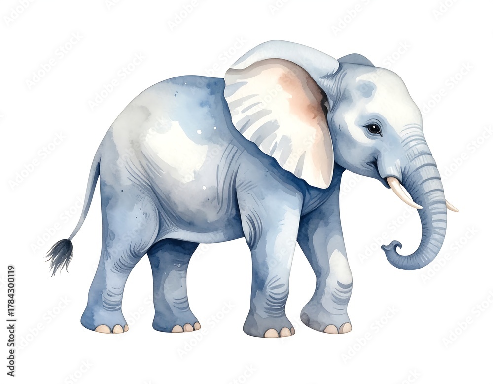 Fototapeta premium Watercolor illustration of an elephant walking, isolated on a white backdrop