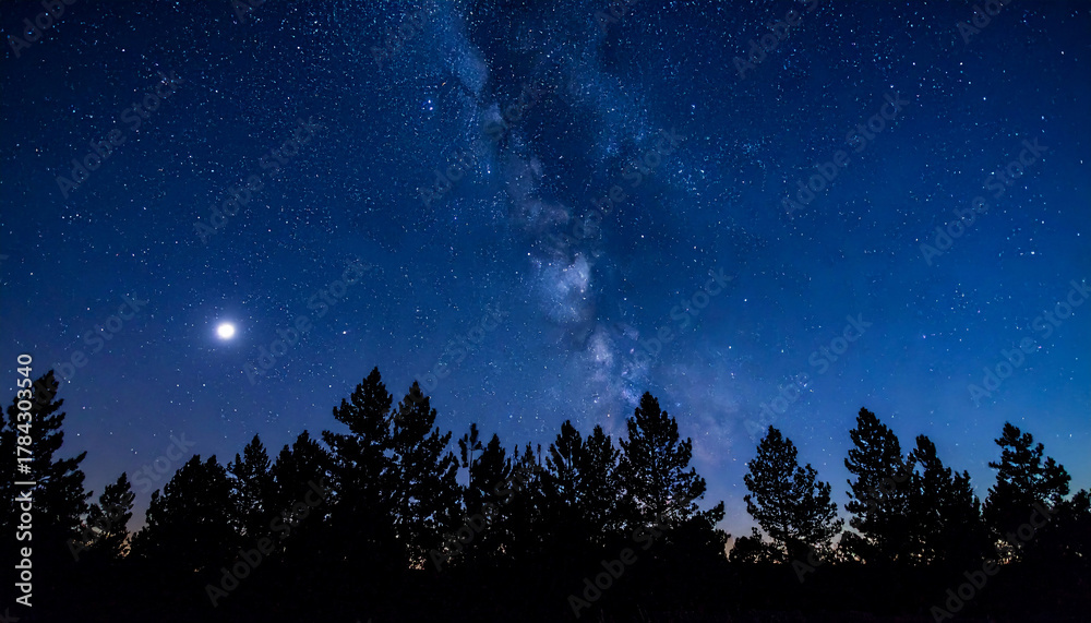 Naklejka premium Milky Way over Forest