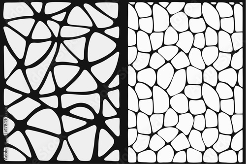 Detailed spinal nerve anatomy illustration for medical study or educational materials, showcasing spinal cord and nerves