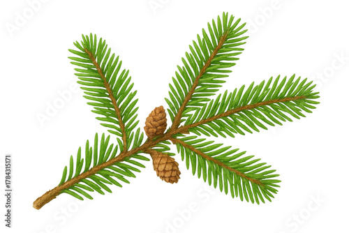 Fir tree branch with realistic needles and natural pinecones, transparent background, evergreen nature ornament