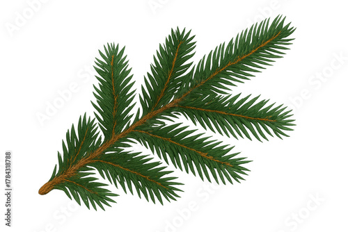 Evergreen fir branch with needles, perfect for christmas, winter, and holiday decorative designs, transparent background